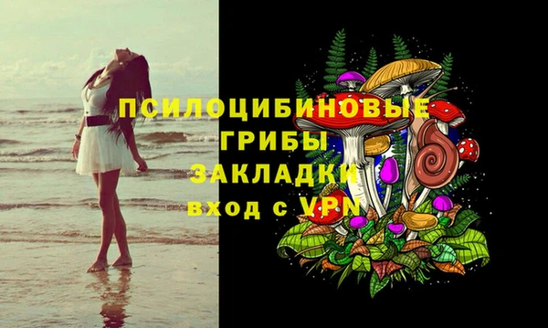винт Бородино