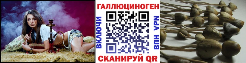 МЕГА маркетплейс Октябрьский Галлюциногенные грибы Magic Shrooms